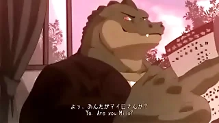 an aligators keep going to my house