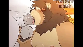 the furry bear blowjob