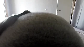 POV inflation